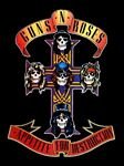 pic for appetite for destruction